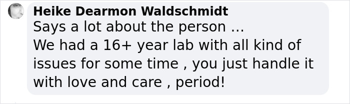Senior Dog Returned To Shelter After 12 Years To Be Put Down Is Now Living Her Best Life After Vet Adopts Her Senior Dog Returned To Shelter After 12 Years To Be Put Down Is Now Living Her Best Life After Vet Adopts Her