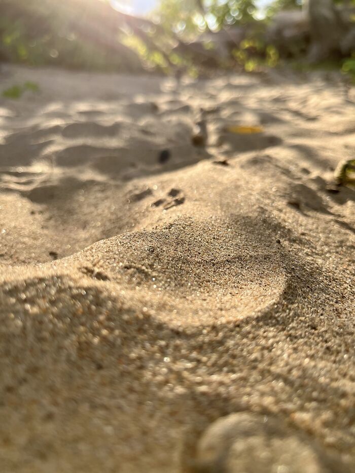 Pictures I&rsquo;ve Taken Recently (10 Pics)