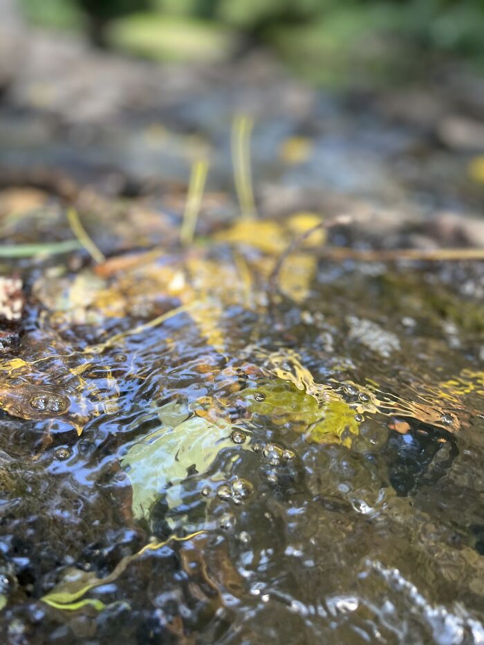 Pictures I&rsquo;ve Taken Recently (10 Pics)