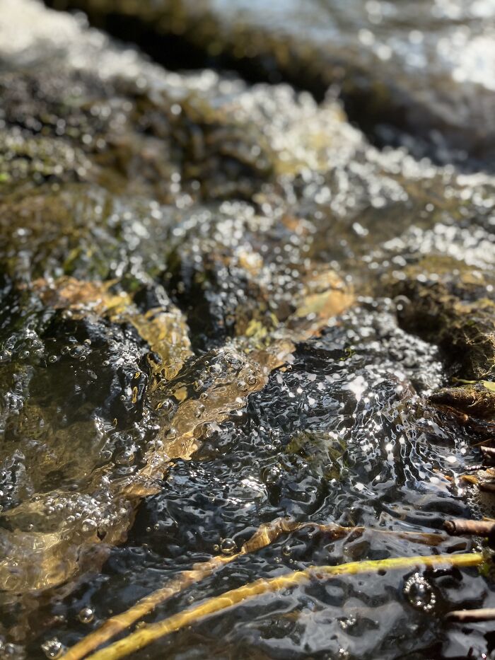 Pictures I&rsquo;ve Taken Recently (10 Pics)