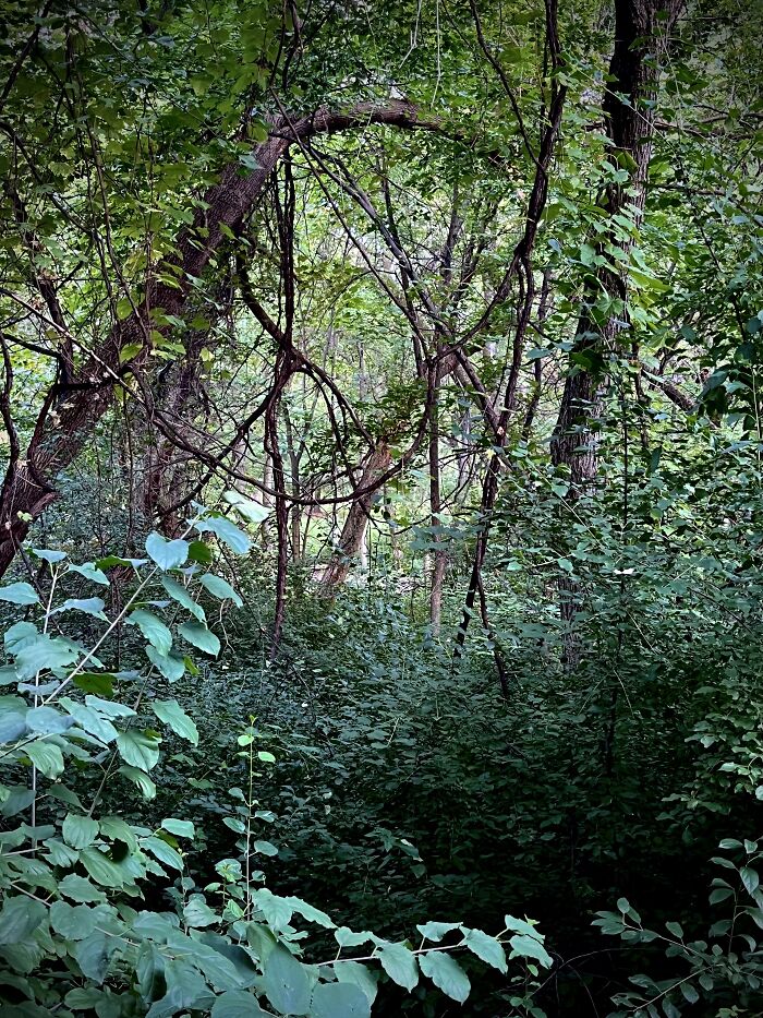 Pictures I&rsquo;ve Taken Recently (10 Pics)