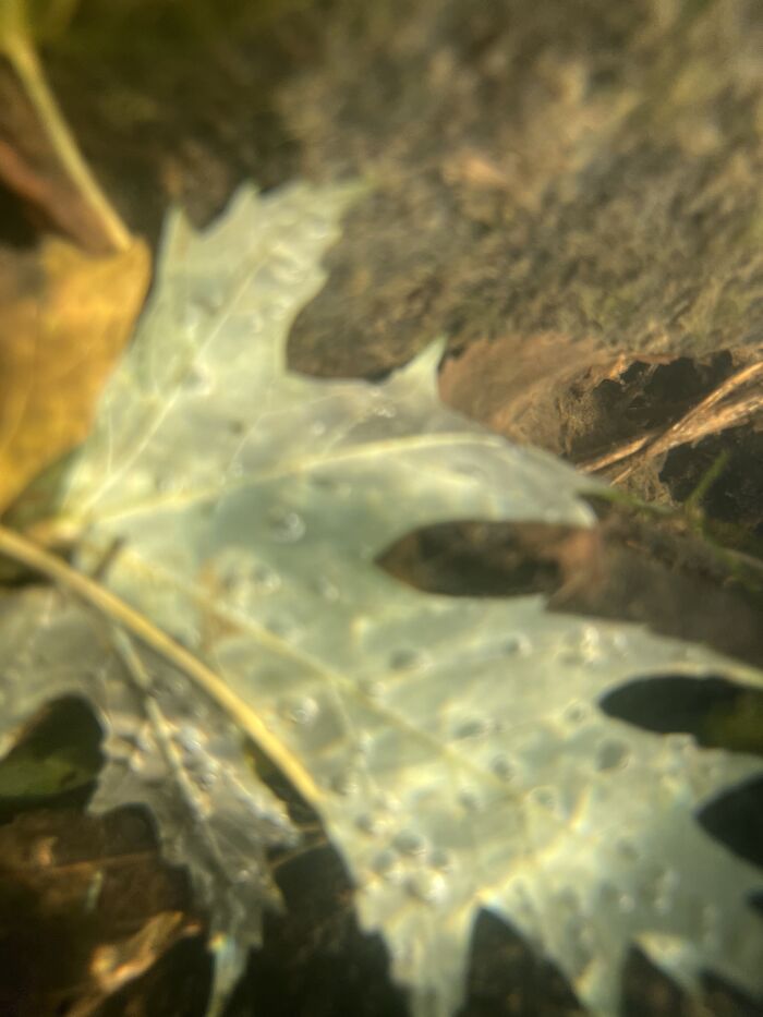 Pictures I&rsquo;ve Taken Recently (10 Pics)