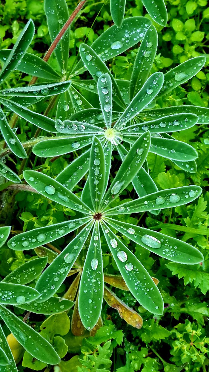 Hey Pandas, What’s A Photo You Took With Your Phone That Seems Professional? (Closed) Hey Pandas, What’s A Photo You Took With Your Phone That Seems Professional? (Closed)