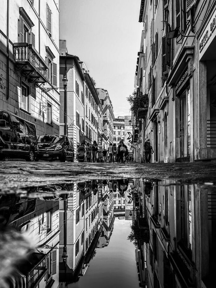 Hey Pandas, What’s A Photo You Took With Your Phone That Seems Professional? (Closed) Hey Pandas, What’s A Photo You Took With Your Phone That Seems Professional? (Closed)