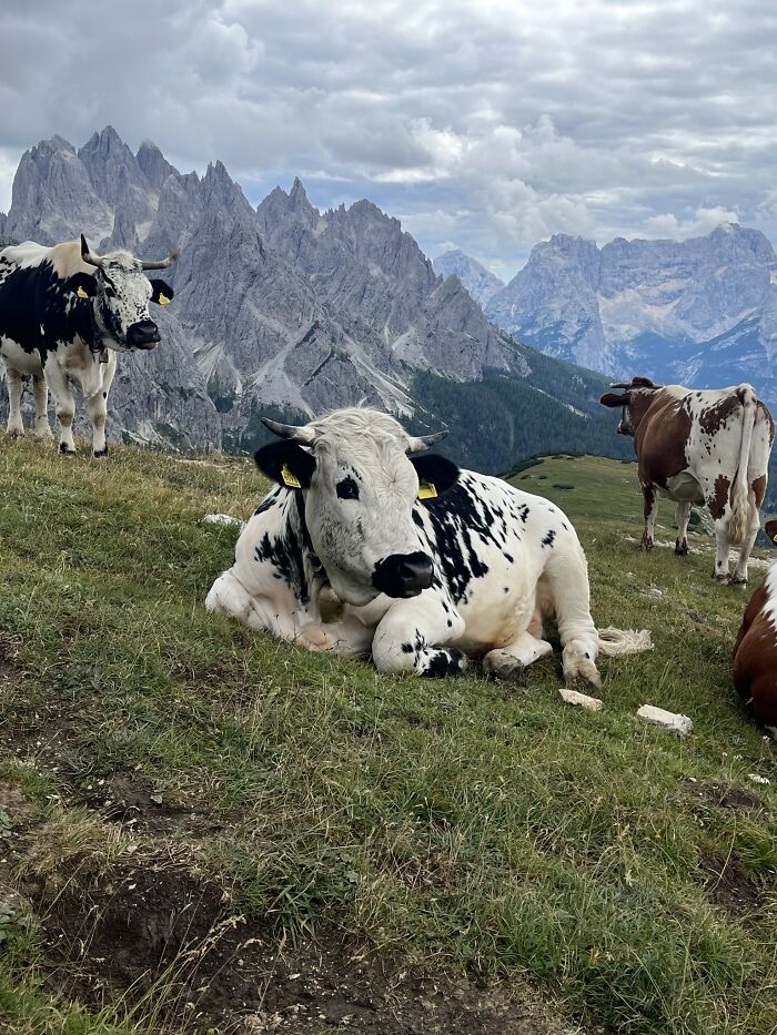 Hey Pandas, What’s A Photo You Took With Your Phone That Seems Professional? (Closed) Hey Pandas, What’s A Photo You Took With Your Phone That Seems Professional? (Closed)