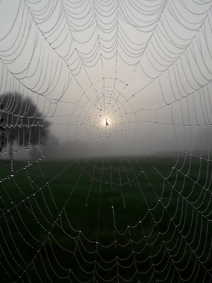 Hey Pandas, What’s A Photo You Took With Your Phone That Seems Professional? (Closed) Hey Pandas, What’s A Photo You Took With Your Phone That Seems Professional? (Closed)