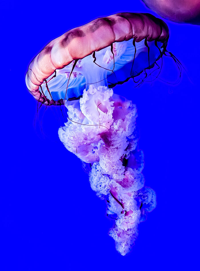 Hey Pandas, What’s A Photo You Took With Your Phone That Seems Professional? (Closed) Hey Pandas, What’s A Photo You Took With Your Phone That Seems Professional? (Closed)