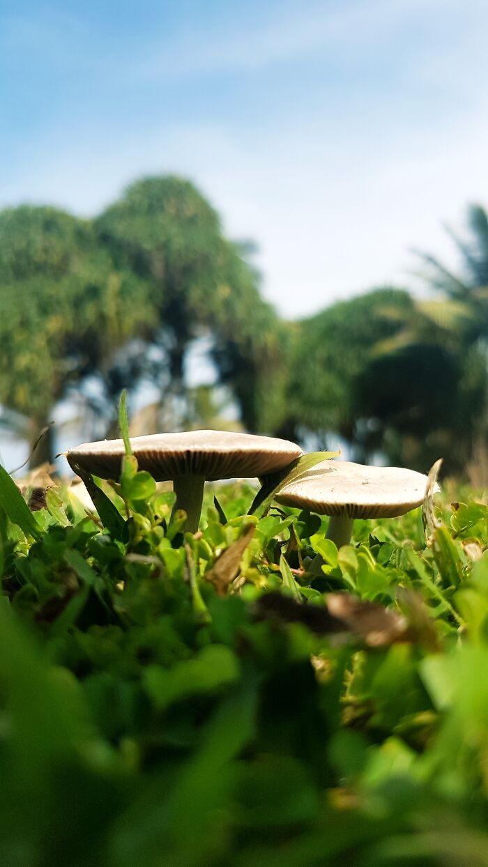 Hey Pandas, What’s A Photo You Took With Your Phone That Seems Professional? (Closed) Hey Pandas, What’s A Photo You Took With Your Phone That Seems Professional? (Closed)