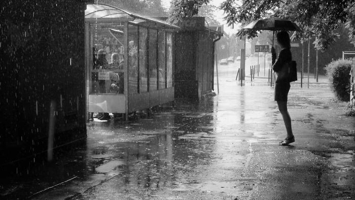 Hey Pandas, What’s A Photo You Took With Your Phone That Seems Professional? (Closed) Hey Pandas, What’s A Photo You Took With Your Phone That Seems Professional? (Closed)