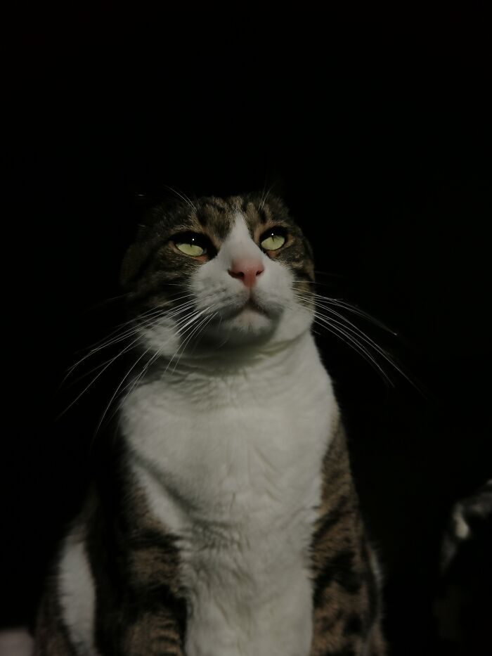 Hey Pandas, What’s A Photo You Took With Your Phone That Seems Professional? (Closed) Hey Pandas, What’s A Photo You Took With Your Phone That Seems Professional? (Closed)