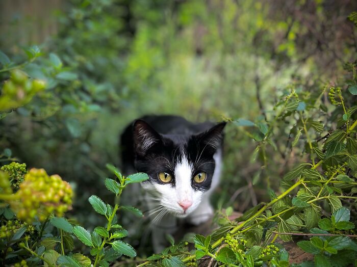 Hey Pandas, What’s A Photo You Took With Your Phone That Seems Professional? (Closed) Hey Pandas, What’s A Photo You Took With Your Phone That Seems Professional? (Closed)