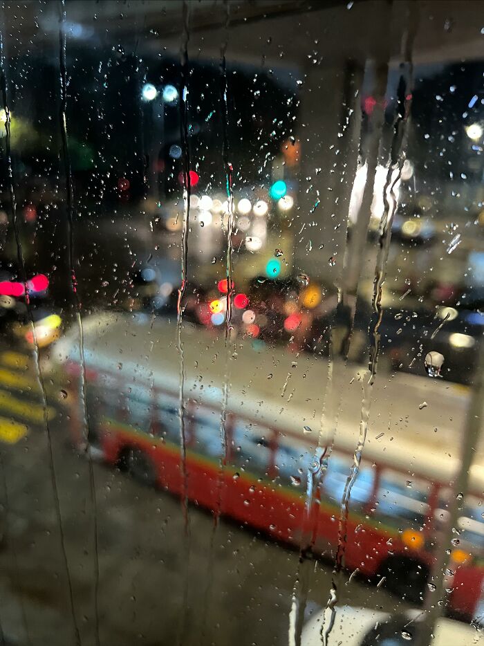 Hey Pandas, What’s A Photo You Took With Your Phone That Seems Professional? (Closed) Hey Pandas, What’s A Photo You Took With Your Phone That Seems Professional? (Closed)