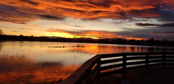 Hey Pandas, What’s A Photo You Took With Your Phone That Seems Professional? (Closed) Hey Pandas, What’s A Photo You Took With Your Phone That Seems Professional? (Closed)