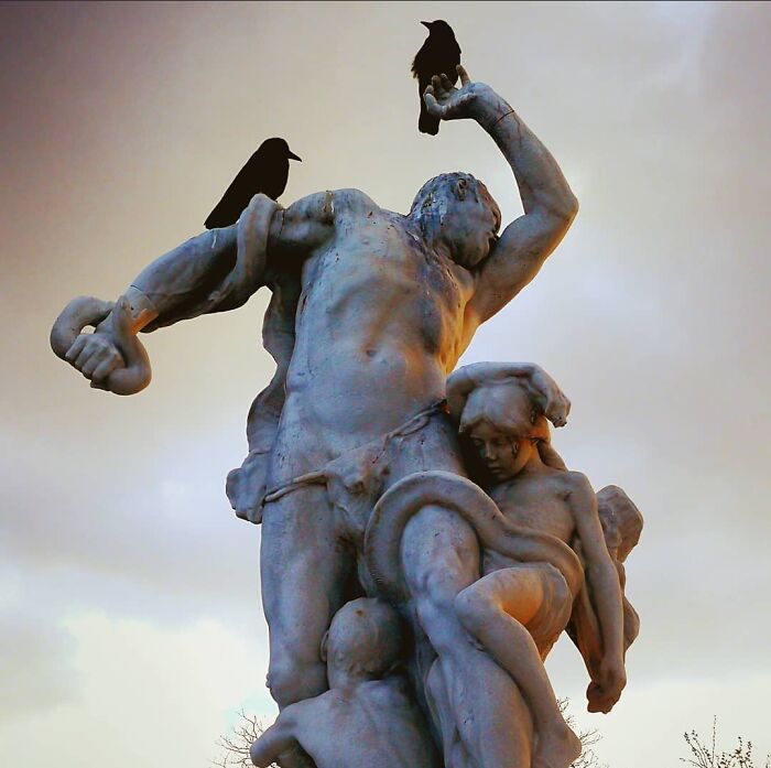 Hey Pandas, What’s A Photo You Took With Your Phone That Seems Professional? (Closed) Hey Pandas, What’s A Photo You Took With Your Phone That Seems Professional? (Closed)