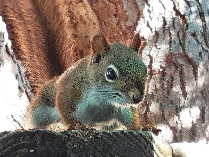 Hey Pandas, What’s A Photo You Took With Your Phone That Seems Professional? (Closed) Hey Pandas, What’s A Photo You Took With Your Phone That Seems Professional? (Closed)