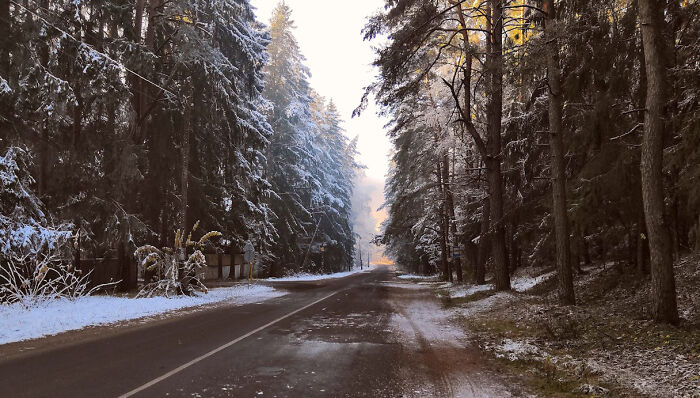 Hey Pandas, What’s A Photo You Took With Your Phone That Seems Professional? (Closed) Hey Pandas, What’s A Photo You Took With Your Phone That Seems Professional? (Closed)