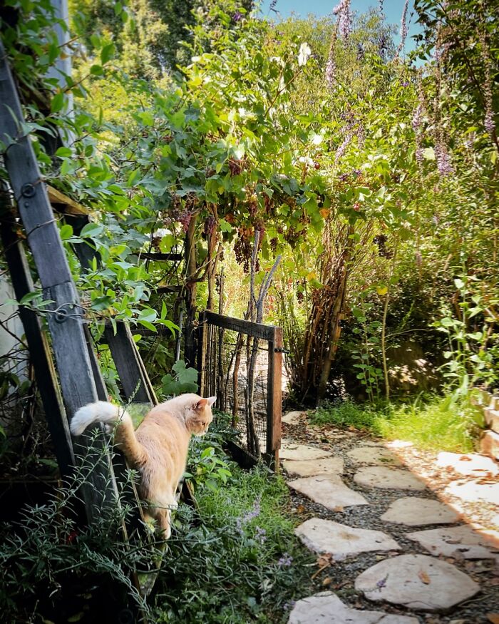 Hey Pandas, What’s A Photo You Took With Your Phone That Seems Professional? (Closed) Hey Pandas, What’s A Photo You Took With Your Phone That Seems Professional? (Closed)