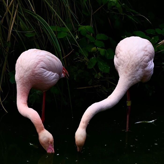 Hey Pandas, What’s A Photo You Took With Your Phone That Seems Professional? (Closed) Hey Pandas, What’s A Photo You Took With Your Phone That Seems Professional? (Closed)