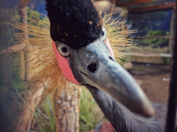 Hey Pandas, What’s A Photo You Took With Your Phone That Seems Professional? (Closed) Hey Pandas, What’s A Photo You Took With Your Phone That Seems Professional? (Closed)