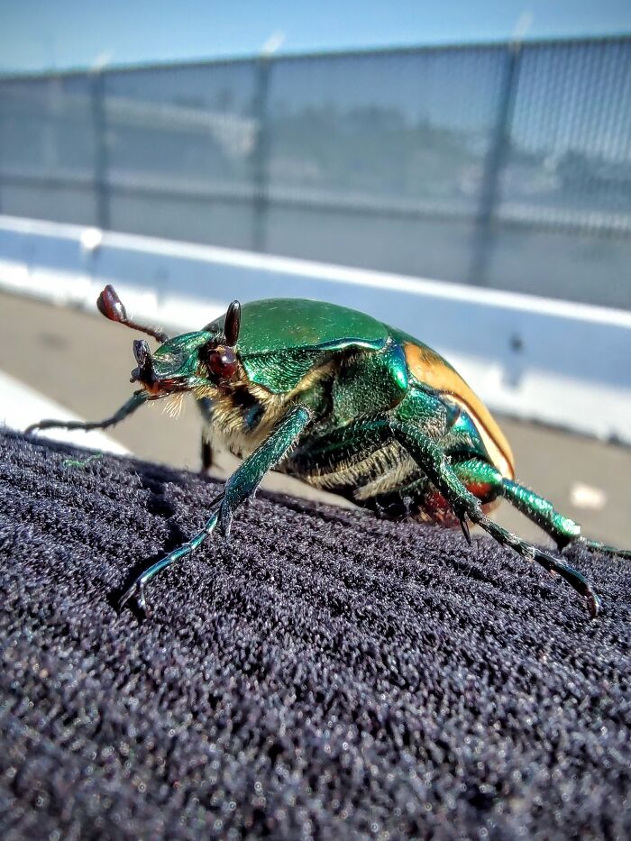 Hey Pandas, What’s A Photo You Took With Your Phone That Seems Professional? (Closed) Hey Pandas, What’s A Photo You Took With Your Phone That Seems Professional? (Closed)