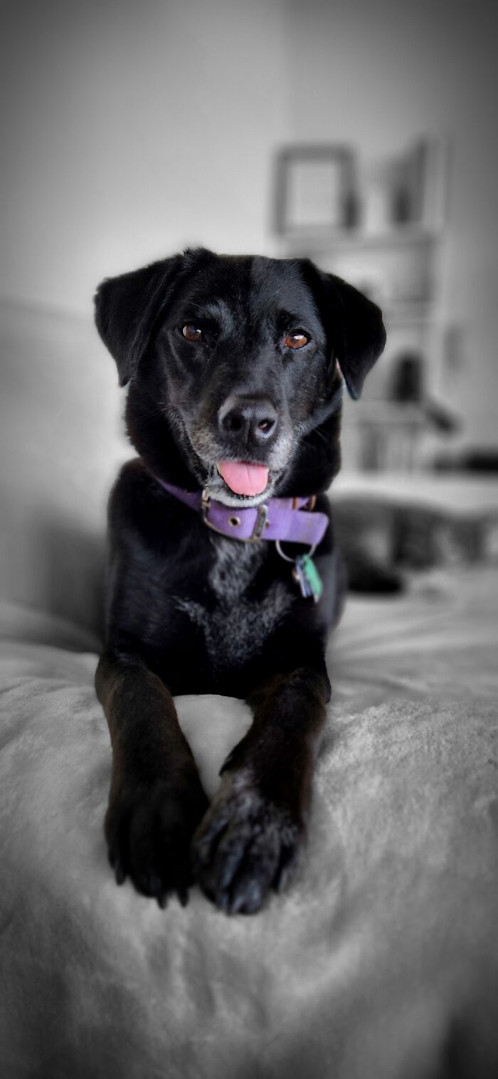 Hey Pandas, What’s A Photo You Took With Your Phone That Seems Professional? (Closed) Hey Pandas, What’s A Photo You Took With Your Phone That Seems Professional? (Closed)