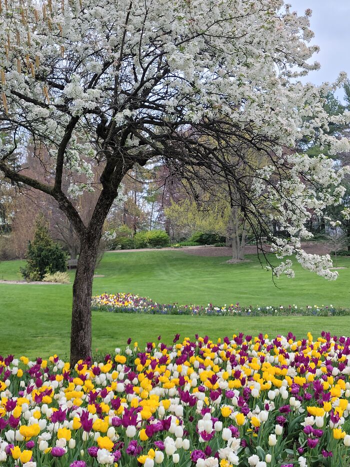 Hey Pandas, What’s A Photo You Took With Your Phone That Seems Professional? (Closed) Hey Pandas, What’s A Photo You Took With Your Phone That Seems Professional? (Closed)