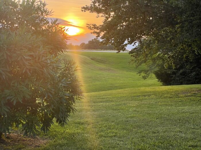 Hey Pandas, What’s A Photo You Took With Your Phone That Seems Professional? (Closed) Hey Pandas, What’s A Photo You Took With Your Phone That Seems Professional? (Closed)