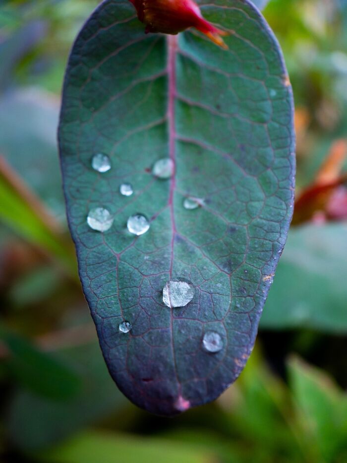 Hey Pandas, What’s A Photo You Took With Your Phone That Seems Professional? (Closed) Hey Pandas, What’s A Photo You Took With Your Phone That Seems Professional? (Closed)