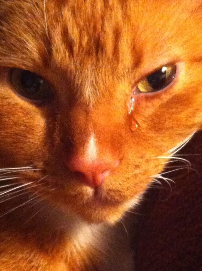 Hey Pandas, What’s A Photo You Took With Your Phone That Seems Professional? (Closed) Hey Pandas, What’s A Photo You Took With Your Phone That Seems Professional? (Closed)