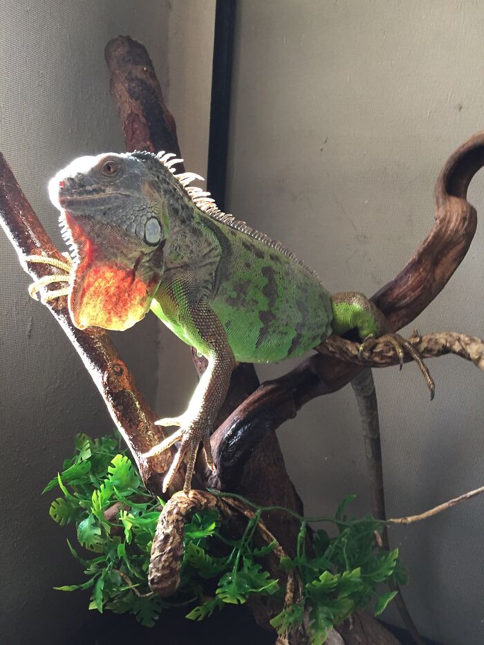 Hey Pandas, What’s A Photo You Took With Your Phone That Seems Professional? (Closed) Hey Pandas, What’s A Photo You Took With Your Phone That Seems Professional? (Closed)