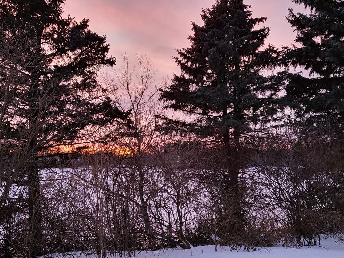 Hey Pandas, What’s A Photo You Took With Your Phone That Seems Professional? (Closed) Hey Pandas, What’s A Photo You Took With Your Phone That Seems Professional? (Closed)