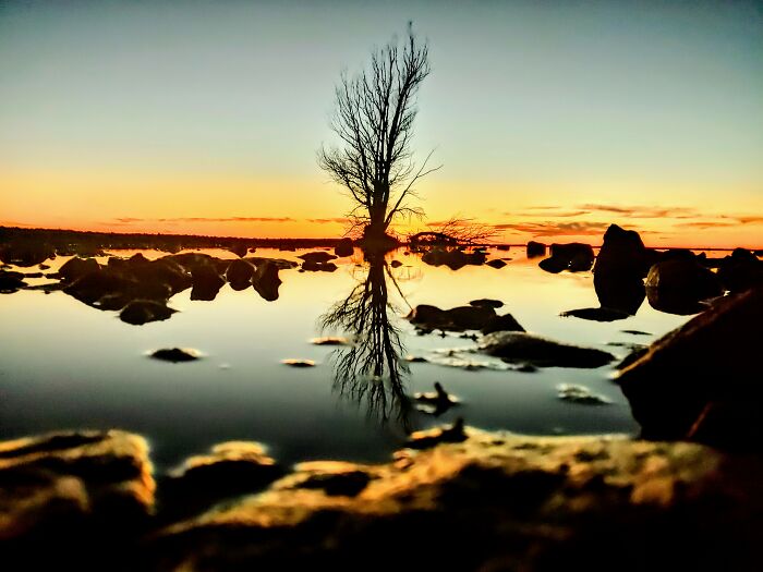 Hey Pandas, What’s A Photo You Took With Your Phone That Seems Professional? (Closed) Hey Pandas, What’s A Photo You Took With Your Phone That Seems Professional? (Closed)