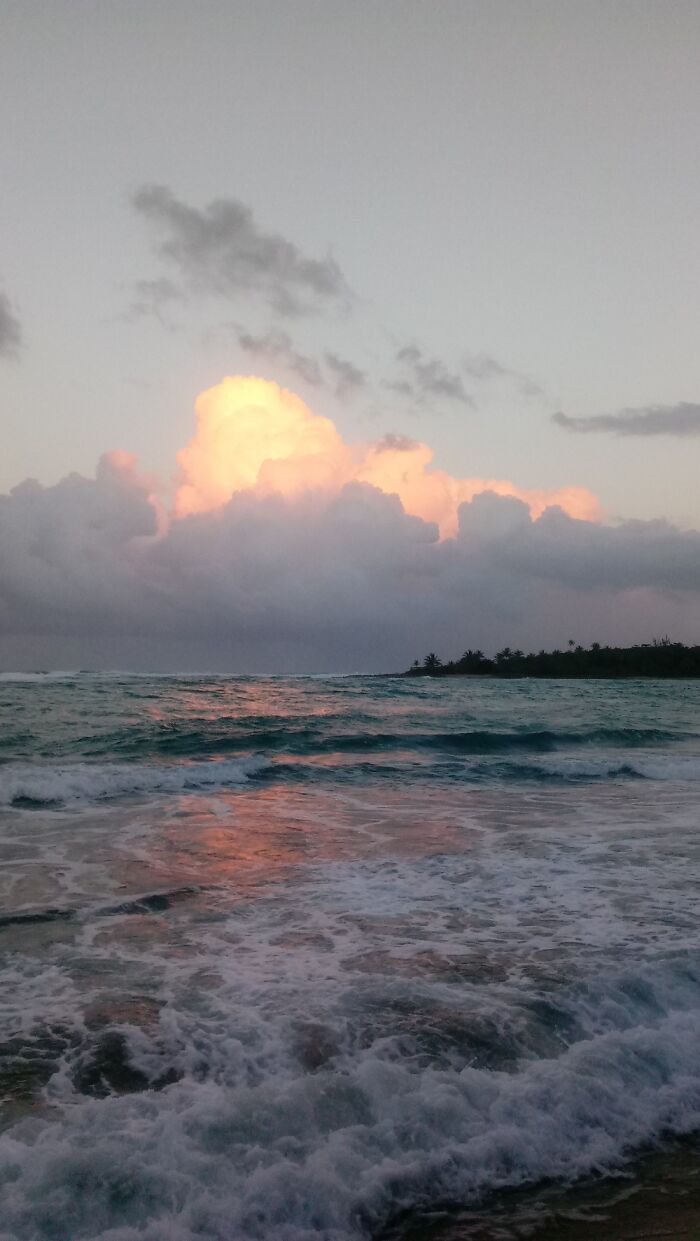 Hey Pandas, What’s A Photo You Took With Your Phone That Seems Professional? (Closed) Hey Pandas, What’s A Photo You Took With Your Phone That Seems Professional? (Closed)