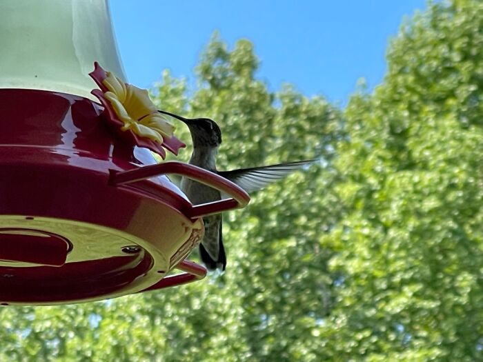 Hey Pandas, What’s A Photo You Took With Your Phone That Seems Professional? (Closed) Hey Pandas, What’s A Photo You Took With Your Phone That Seems Professional? (Closed)