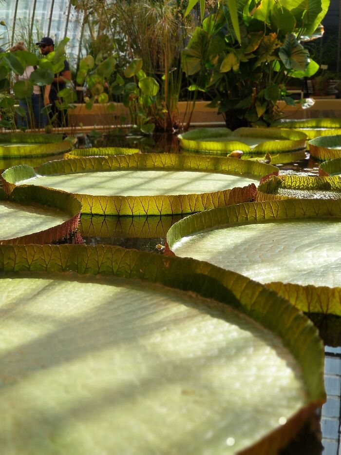 Hey Pandas, What’s A Photo You Took With Your Phone That Seems Professional? (Closed) Hey Pandas, What’s A Photo You Took With Your Phone That Seems Professional? (Closed)