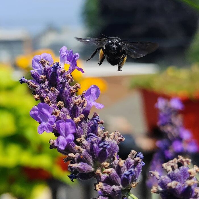 Hey Pandas, What’s A Photo You Took With Your Phone That Seems Professional? (Closed) Hey Pandas, What’s A Photo You Took With Your Phone That Seems Professional? (Closed)