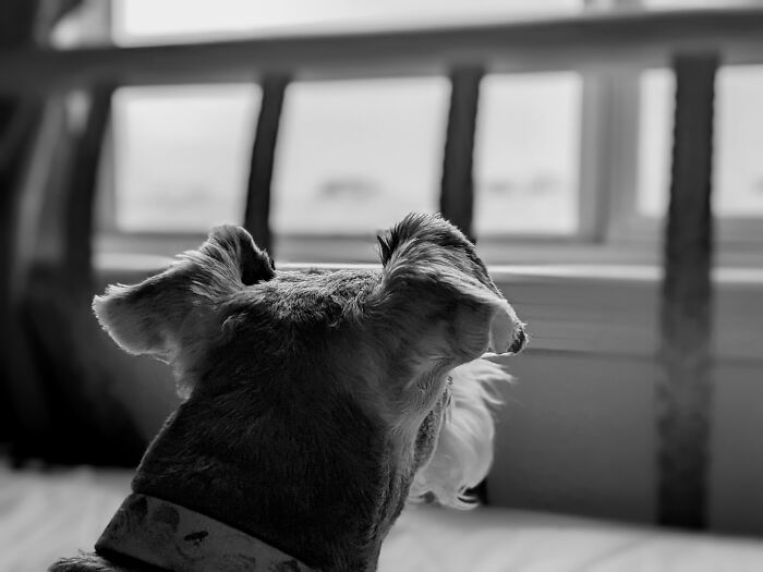 Hey Pandas, What’s A Photo You Took With Your Phone That Seems Professional? (Closed) Hey Pandas, What’s A Photo You Took With Your Phone That Seems Professional? (Closed)