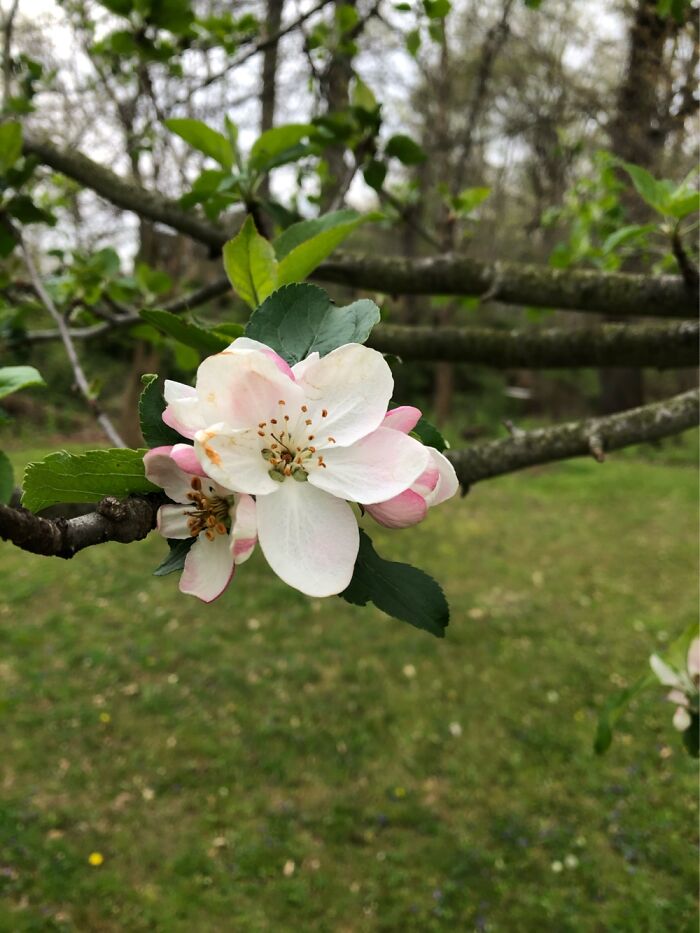 Hey Pandas, What’s A Photo You Took With Your Phone That Seems Professional? (Closed) Hey Pandas, What’s A Photo You Took With Your Phone That Seems Professional? (Closed)