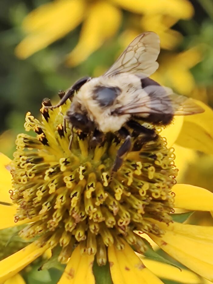 Hey Pandas, What’s A Photo You Took With Your Phone That Seems Professional? (Closed) Hey Pandas, What’s A Photo You Took With Your Phone That Seems Professional? (Closed)