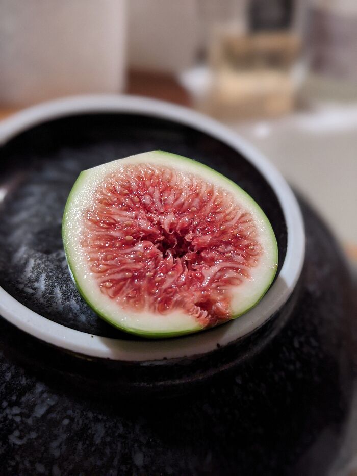 Hey Pandas, What’s A Photo You Took With Your Phone That Seems Professional? (Closed) Hey Pandas, What’s A Photo You Took With Your Phone That Seems Professional? (Closed)