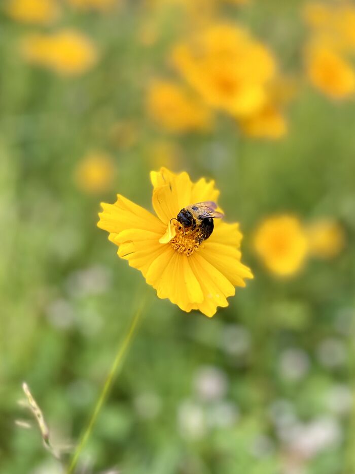 Hey Pandas, What’s A Photo You Took With Your Phone That Seems Professional? (Closed) Hey Pandas, What’s A Photo You Took With Your Phone That Seems Professional? (Closed)