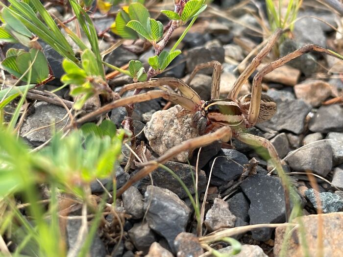 Hey Pandas, What’s A Photo You Took With Your Phone That Seems Professional? (Closed) Hey Pandas, What’s A Photo You Took With Your Phone That Seems Professional? (Closed)