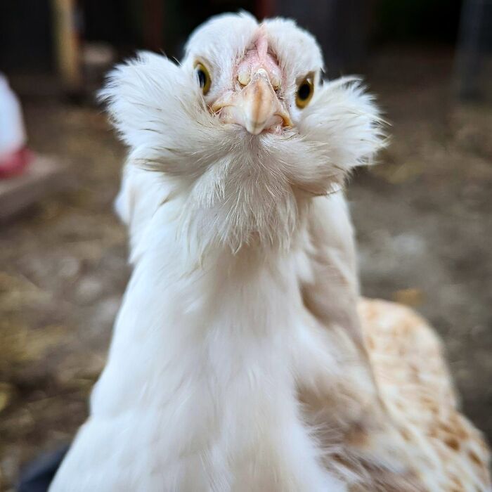 Hey Pandas, What’s A Photo You Took With Your Phone That Seems Professional? (Closed) Hey Pandas, What’s A Photo You Took With Your Phone That Seems Professional? (Closed)