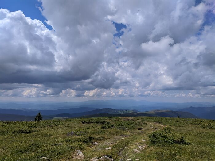 Hey Pandas, What’s A Photo You Took With Your Phone That Seems Professional? (Closed) Hey Pandas, What’s A Photo You Took With Your Phone That Seems Professional? (Closed)