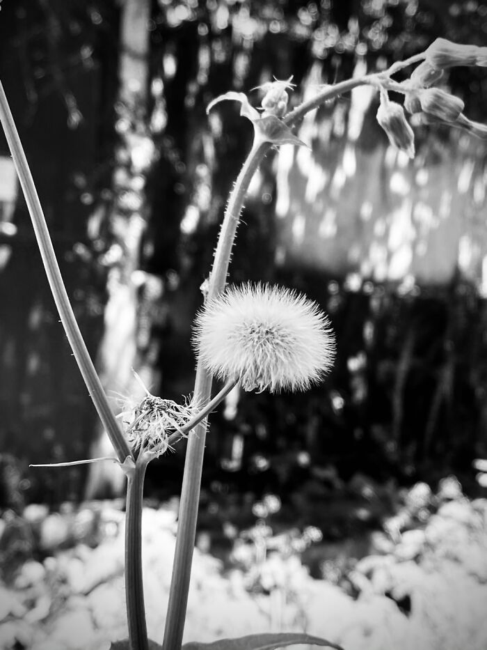 Hey Pandas, What’s A Photo You Took With Your Phone That Seems Professional? (Closed) Hey Pandas, What’s A Photo You Took With Your Phone That Seems Professional? (Closed)