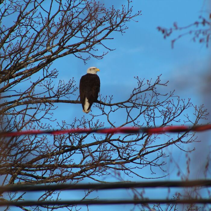 Hey Pandas, What’s A Photo You Took With Your Phone That Seems Professional? (Closed) Hey Pandas, What’s A Photo You Took With Your Phone That Seems Professional? (Closed)