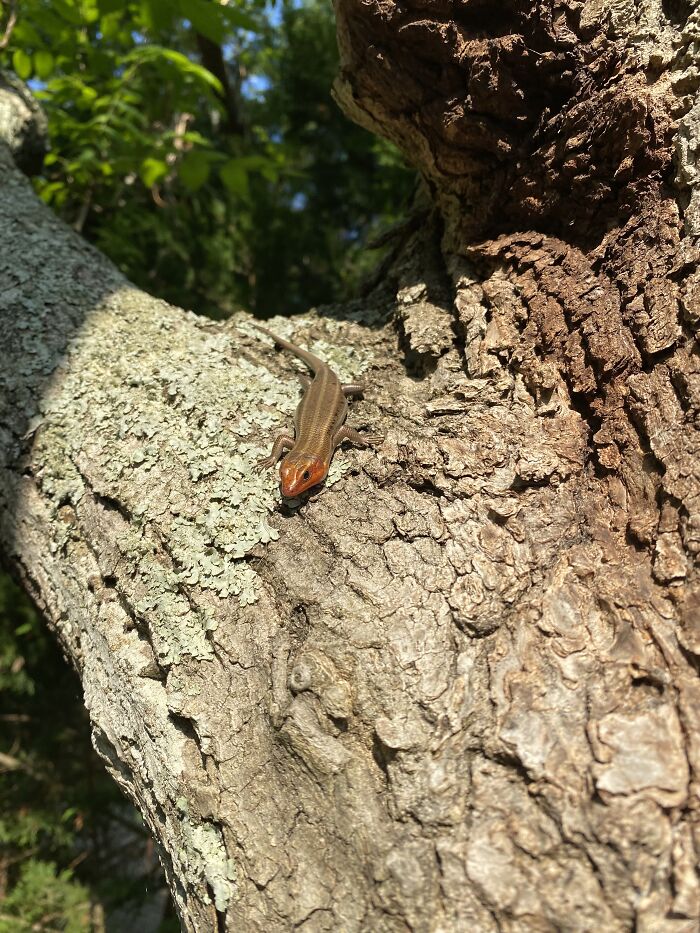 Hey Pandas, What’s A Photo You Took With Your Phone That Seems Professional? (Closed) Hey Pandas, What’s A Photo You Took With Your Phone That Seems Professional? (Closed)