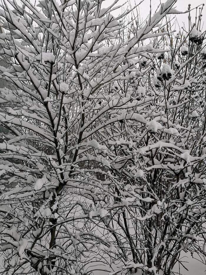 Hey Pandas, What’s A Photo You Took With Your Phone That Seems Professional? (Closed) Hey Pandas, What’s A Photo You Took With Your Phone That Seems Professional? (Closed)