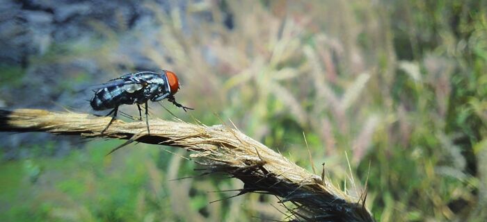 Hey Pandas, What’s A Photo You Took With Your Phone That Seems Professional? (Closed) Hey Pandas, What’s A Photo You Took With Your Phone That Seems Professional? (Closed)