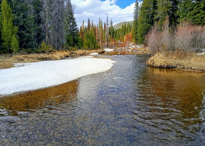 Hey Pandas, What’s A Photo You Took With Your Phone That Seems Professional? (Closed) Hey Pandas, What’s A Photo You Took With Your Phone That Seems Professional? (Closed)